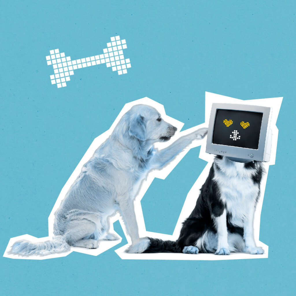 Hunde bei bits & likes