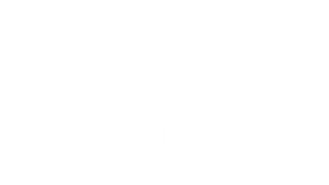 SMF IT Partner