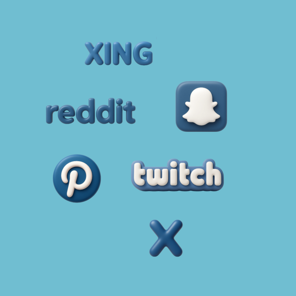 XING, Reddit, Snapchat, Pinterest, Twitch und X Ads mit bits & likes | Digitalagentur aus Dortmund